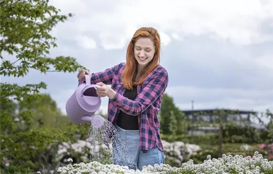 Frühling ist Pflanzzeit – ab in den Garten!