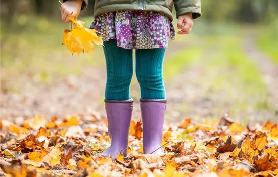 Gartenarbeit vor dem Winter - Vorbereitung für die kalte Jahreszeit