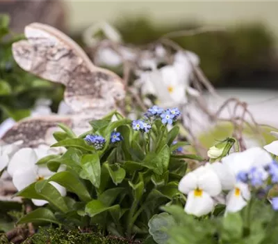 Ostern vor der Haustür