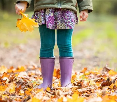 Gartenarbeit vor dem Winter - Vorbereitung für die kalte Jahreszeit