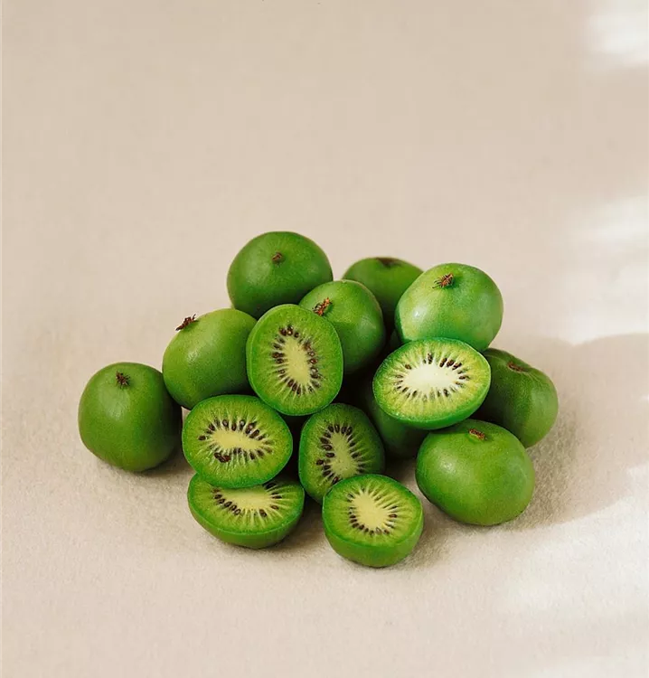 Kiwi 'Vita Green'